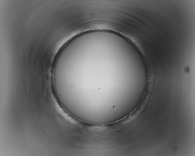 X0000115481134200911201834