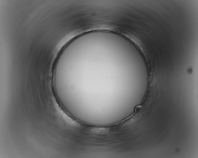 X0000115481135200911201834