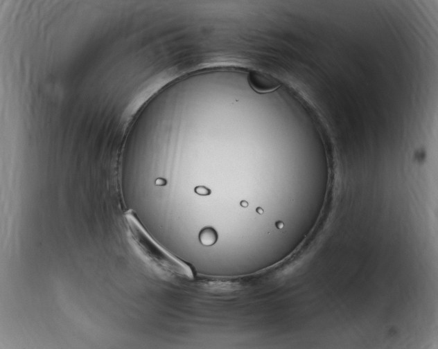 X0000115481137200911201834