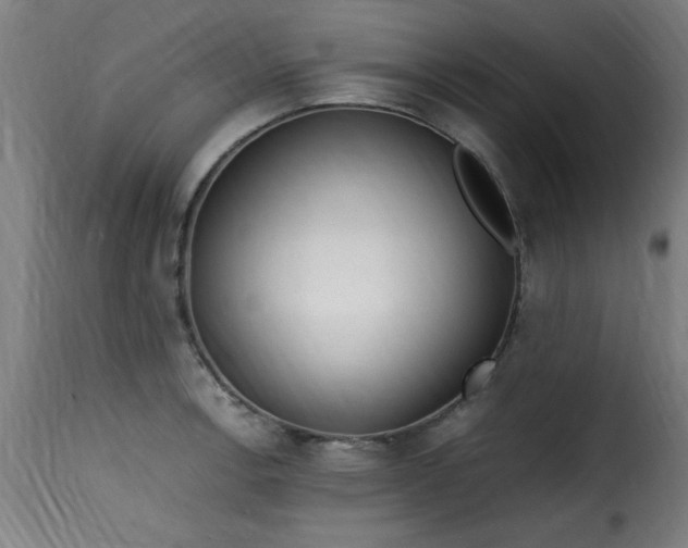 X0000115481138200911201834