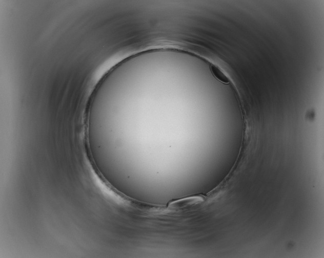 X0000115481143200911201834