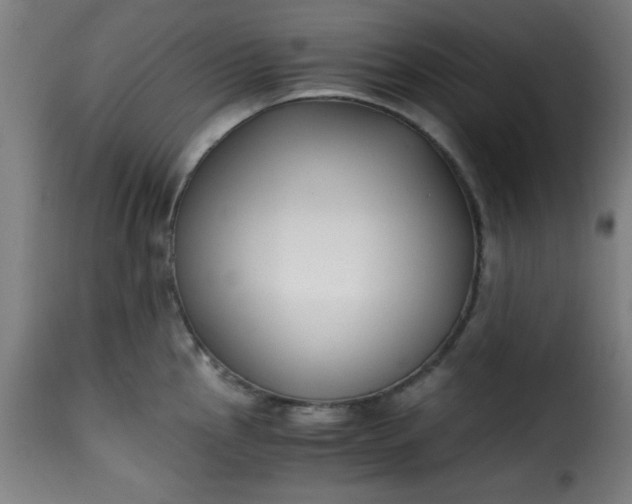 X0000115481145200911201834