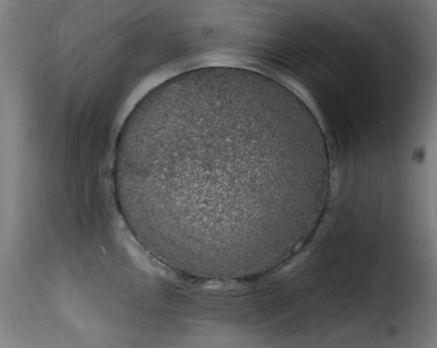 X0000115481146200911201834