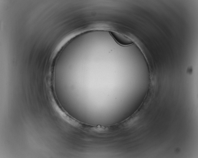 X0000115481147200911201834