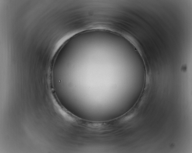 X0000115481149200911201834