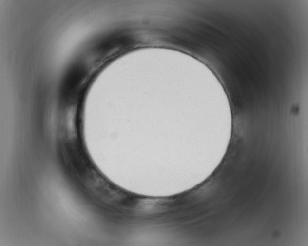 X0000115481150200911201834