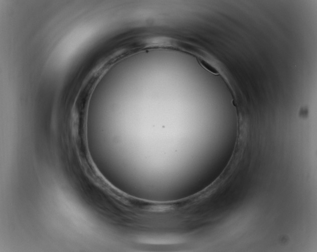 X0000115481151200911201834