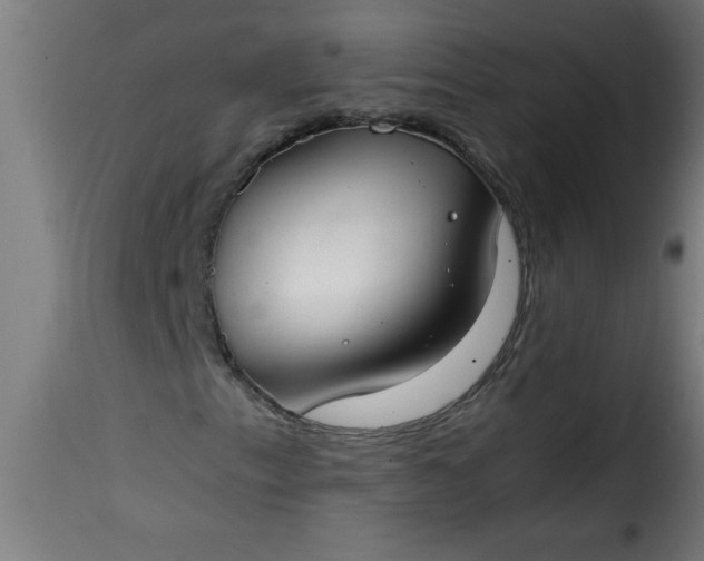 X0000115481153200911201833