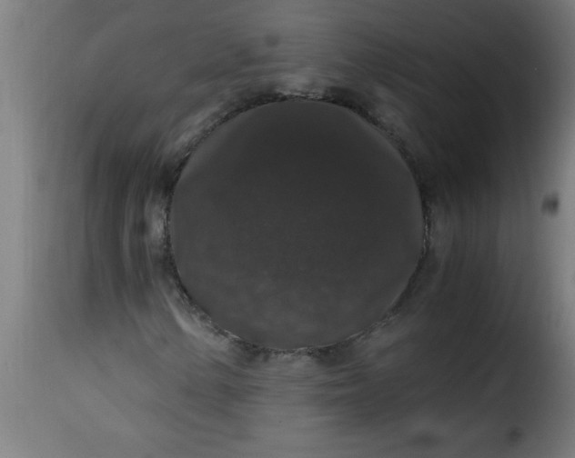 X0000115481154200911201833