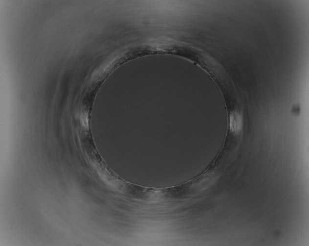 X0000115481155200911201833