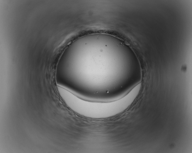 X0000115481157200911201833