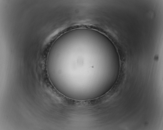 X0000115481159200911201833