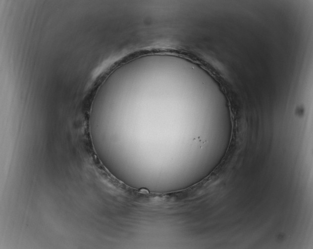 X0000115481160200911201833