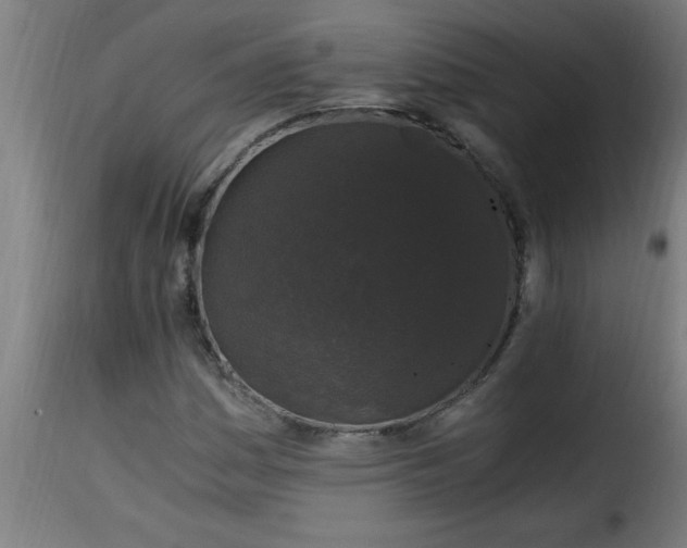 X0000115481161200911201833