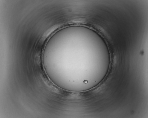 X0000115481162200911201833