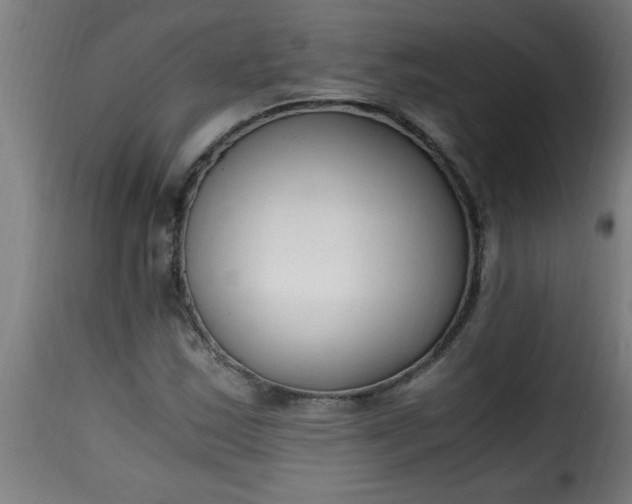 X0000115481163200911201833