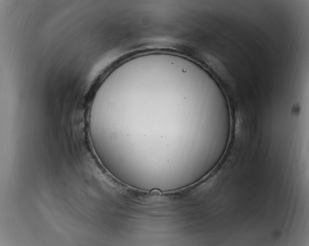 X0000115481164200911201833