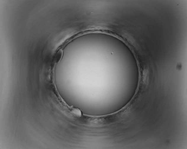 X0000115481165200911201833