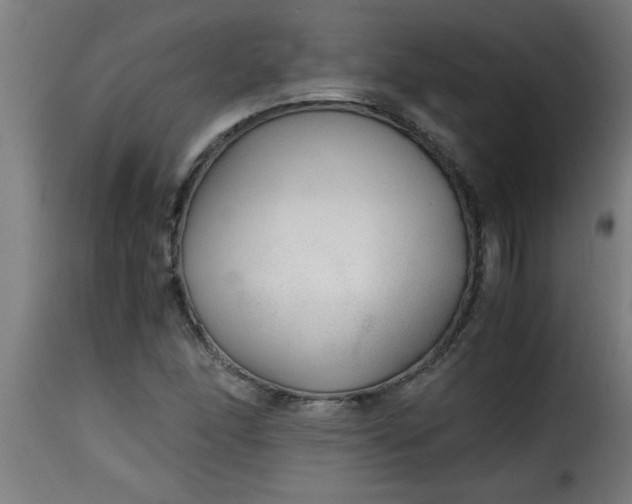 X0000115481166200911201833