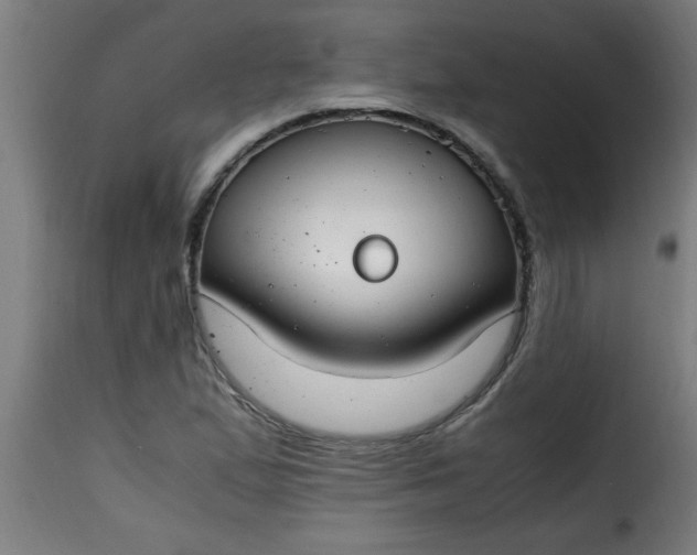 X0000115481167200911201833