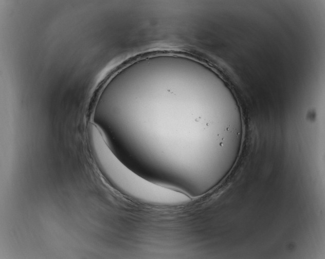 X0000115481168200911201833