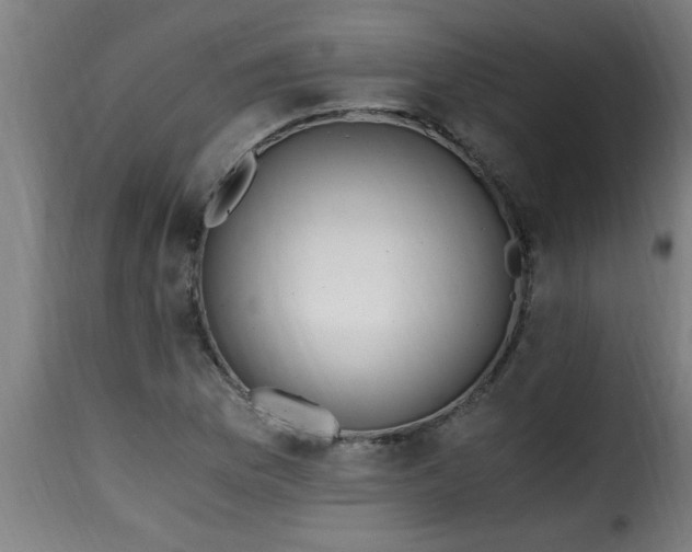 X0000115481169200911201833