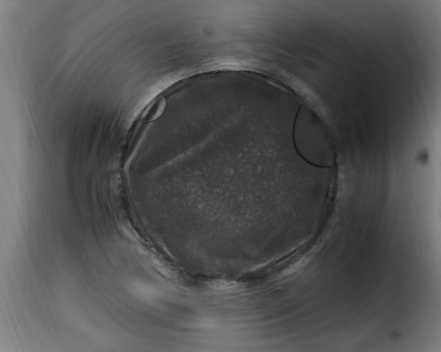 X0000115481170200911201833