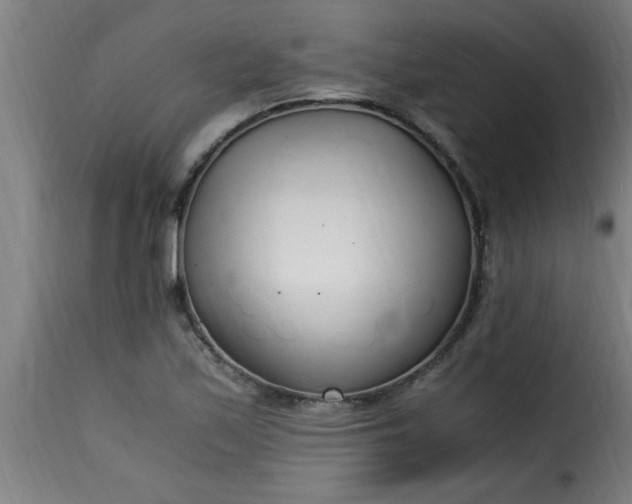 X0000115481171200911201833