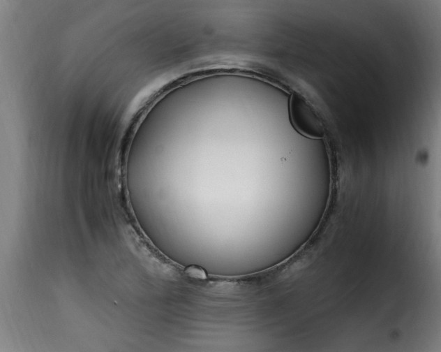 X0000115481172200911201833