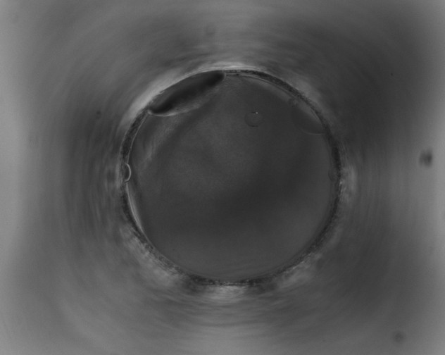 X0000115481173200911201833