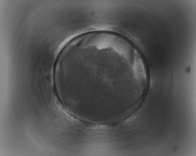 X0000115481174200911201833