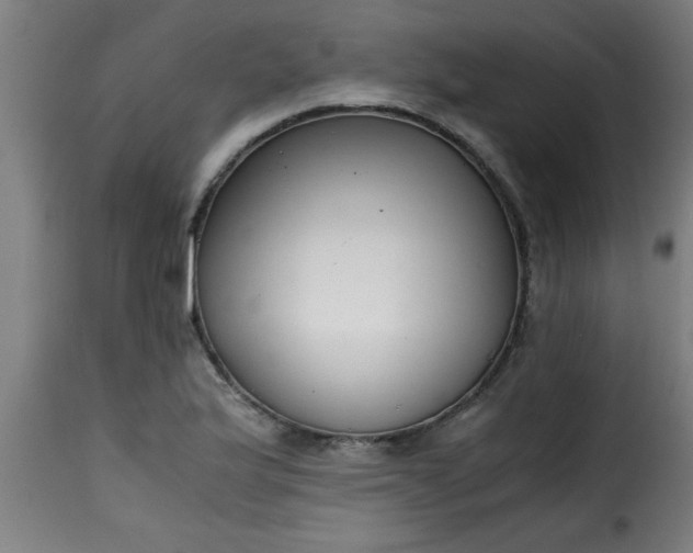 X0000115481175200911201833