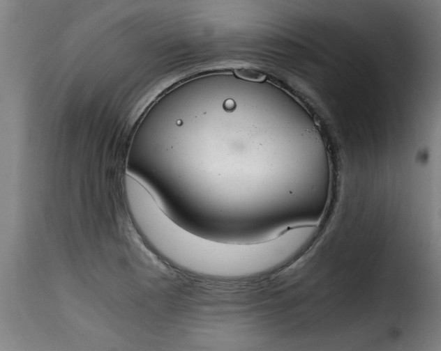 X0000115481177200911201833