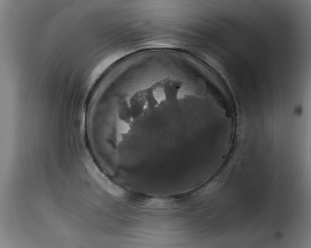 X0000115481179200911201833