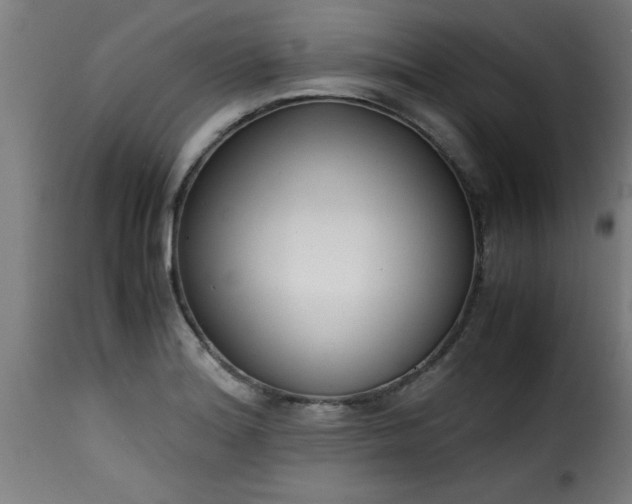 X0000115481180200911201833