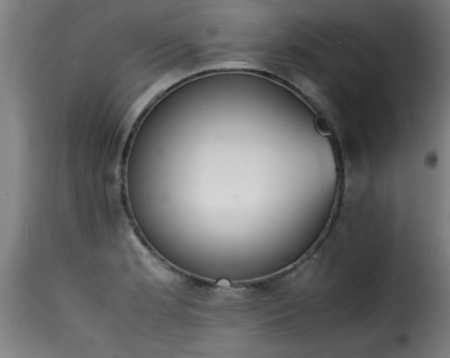 X0000115481181200911201833