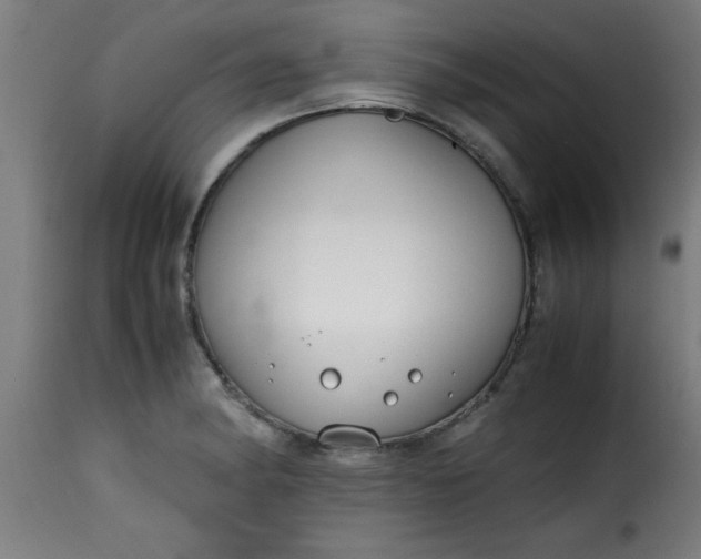 X0000115481182200911201833