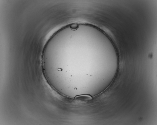 X0000115481183200911201833