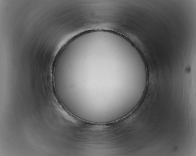 X0000115481184200911201833