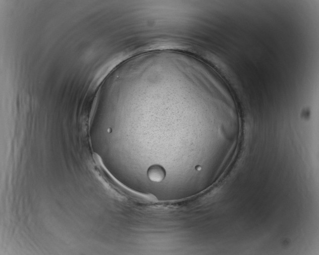 X0000115481185200911201833