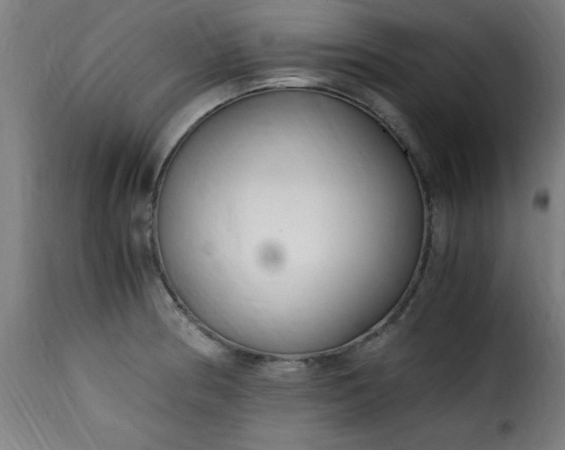 X0000115481186200911201833