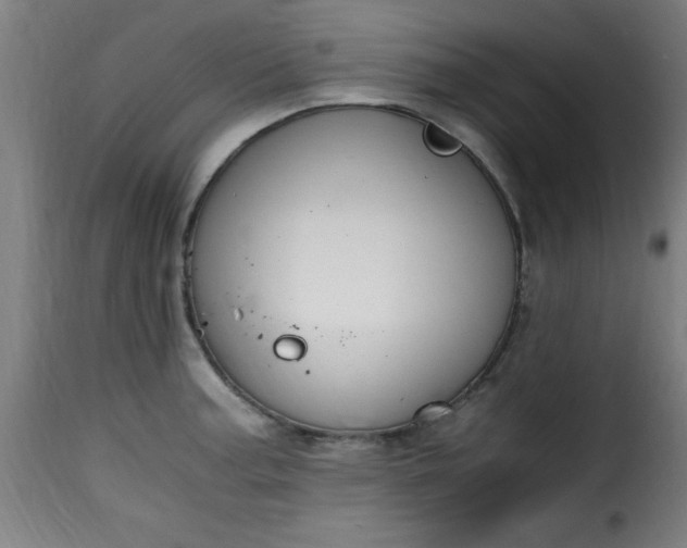 X0000115481187200911201833