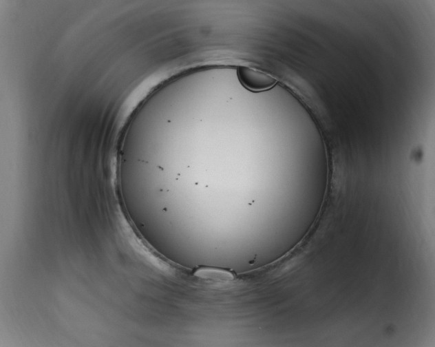 X0000115481188200911201832