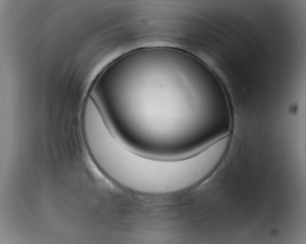 X0000115481189200911201832