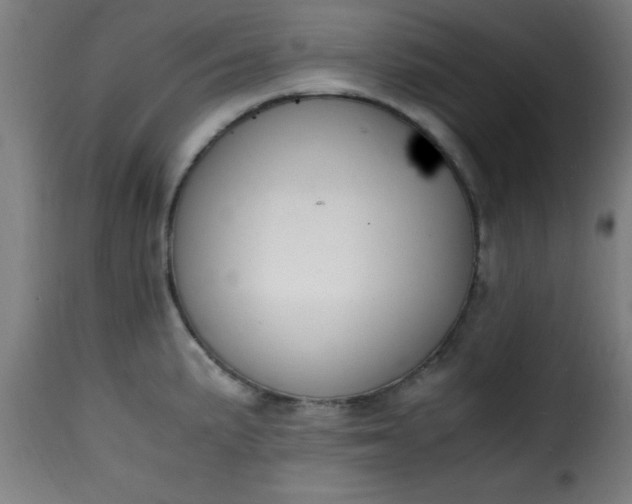 X0000115481191200911201832