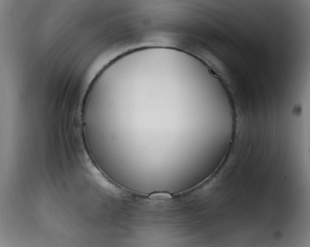 X0000115481192200911201832