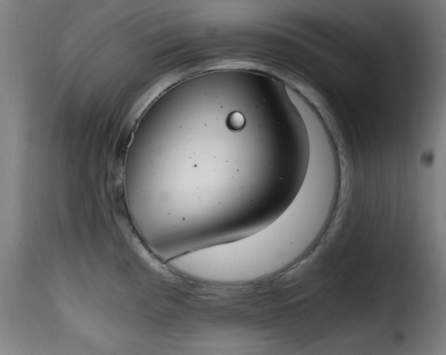 X0000115481193200911201832