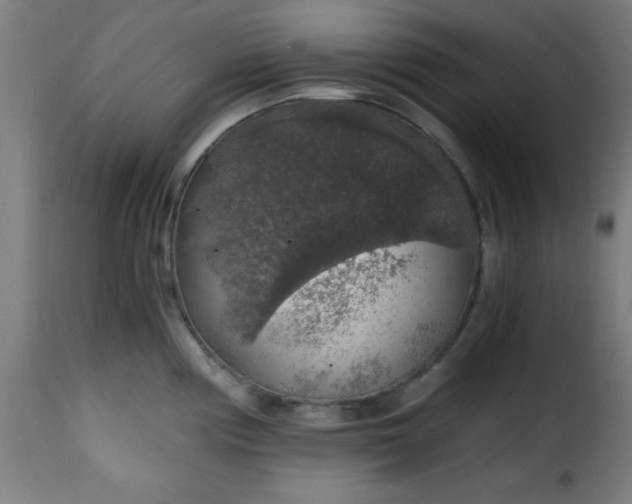 X0000115481194200911201832