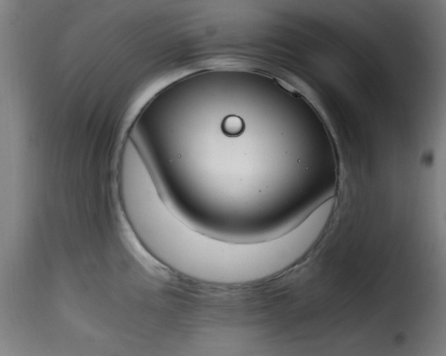 X0000115481195200911201832