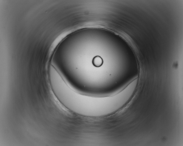 X0000115481196200911201832